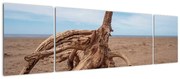 Obraz - Zmyte przez morze (170x50 cm)