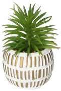 Dekoracja Sukulent w doniczce 13cm