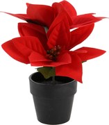 Gwiazda betlejemska sztuczna w doniczce, wys. 18 cm