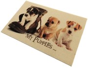 Wycieraczka Deco Star My Puppies 40 cm x 60 cm