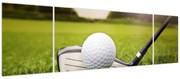 Obraz - Golf (170x50 cm)