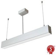 APLED - LED Żyrandol na lince LOOK LED/23W/230V 4000K 60 cm srebrny