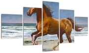 Obraz konia na plaży (125x70 cm)
