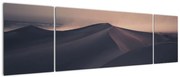 Obraz - Wydmy piaskowe (170x50 cm)