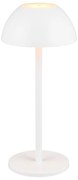 Lampa zewnętrzna ze ściemniaczem ø 13,5 cm Ricardo – Trio