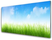 Panel Kuchenny Trawa Natura Roślina