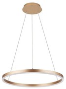 Palnas - Żyrandol na lince DONA LED/42W/230V śr. 60 cm