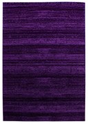 Ciemnofioletowy dywan 160x230 cm Plus – Ayyildiz Carpets