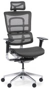 Krzesło biurowe wielofunkcyjne WINSTON SAA, szary