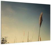 Obraz z trawą (70x50 cm)