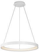 Top Light-LED lampa Orbit LED/40W/230V 3000-6500K pr. 50 cm biała+DO