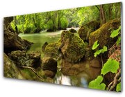 Obraz Akrylowy Skała Jezioro Natura