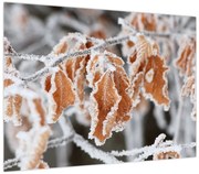 Obraz - Zamarznięte liście (70x50 cm)