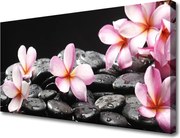 Zdjęcie na płótnie Egzotyczny Kwiat Plumerii