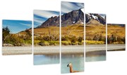Obraz - Park Narodowy Torres del Paine (125x70 cm)