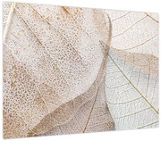 Obraz - Beżowe liście (70x50 cm)