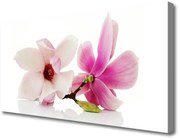 Obraz na Płótnie Kwiaty Roślina Natura