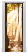 Naklejka na drzwi samoprzylepna Las jesienią