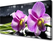 Obraz na płótnie Feeria Kwiatowych Barw