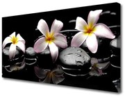 Obraz na Płótnie Kwiat Kamienie Roślina