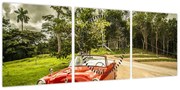 Obraz - zabytkowy samochód w przyrodzie (z zegarem) (90x30 cm)