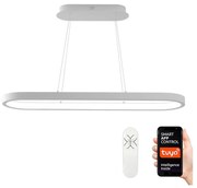 Immax NEO - LED Żyrandol ściemnialny na lince HIPODROMO LED/66W/230V Tuya