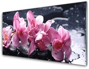 Panel Kuchenny Kwiat Orchidea do Pokoju