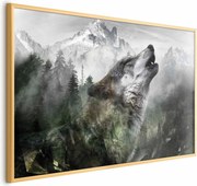 Plakat Wyjący wilk 30x21 cm z ramą złotą bez marginesu ARTGEIST B