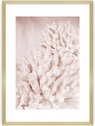 Plakat Pastel Pink II