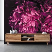 Fototapeta - Kwiat (196x136 cm)