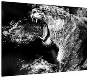 Obraz - Portret lwicy (70x50 cm)