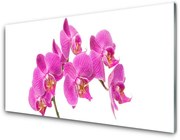 Panel Szklany Orchidea Kwiaty Natura