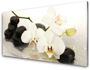 Obraz Akrylowy Kwiat Piękny Storczyk