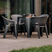 Krzesło ogrodowe Premo Carbon FERNE