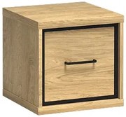 Stolik nocny hikora naturalna F3-W91