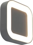Lampa ścienna i sufitowa szara kwadratowa IP54 - Ariel