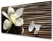 Panel Kuchenny Kwiat Na Ścianę