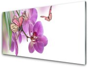 Panel Szklany Motyle Kwiaty Przyroda