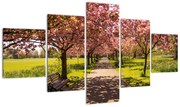 Obraz - sad czereśniowy (125x70 cm)
