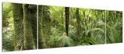 Obraz tropikalnego lasu deszczowego (170x50 cm)
