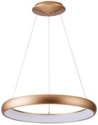 Azzardo AZ5064 - LED Żyrandol ściemnialny na lince ANTONIO LED/50W/230V złoty + pilot