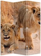 Parawan - Lwiątka (126x170 cm)