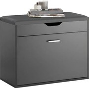 Ławka na buty z siedziskiem i pojemnik Szary FSR95-HG