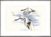 Obraz Żurawie, Seria Wodna