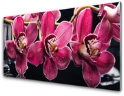 Panel Szklany Kwiaty Orchidea Pędy Natura