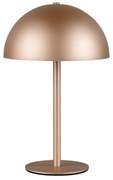Lampa stołowa LED w kolorze brązu z metalowym kloszem (wysokość 21 cm) Munoz – Trio