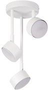 Żyrandol na drążku NEMO 3xGX53/12W/230V biały