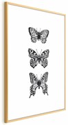 Plakat Trzy motyle 60x90 cm z ramą złotą z marginesem ARTGEIST B