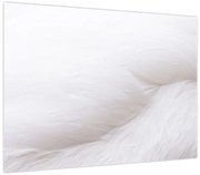 Obraz - Szczegół piórka (70x50 cm)