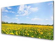 Obraz na Szkle Mniszek Lekarski Łąka